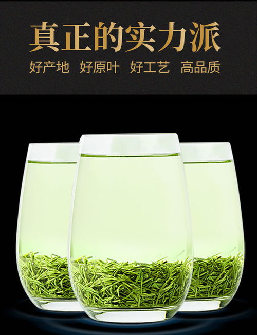 新茶信阳毛尖茶叶绿茶浓香耐泡型 开泡不好喝包退