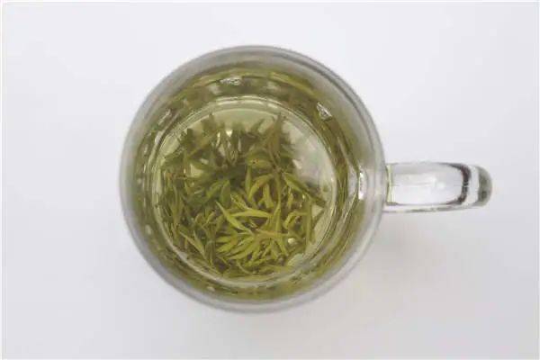 信阳毛尖品牌