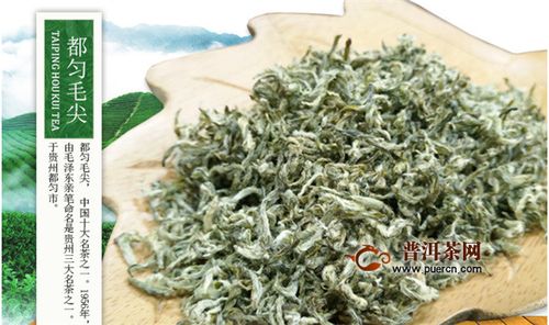绿毛尖是绿茶吗