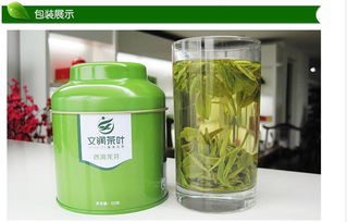 2014新茶舌尖文润茶叶 炒青绿茶正宗雨前西湖龙井茶 信阳毛尖自产自销茶叶