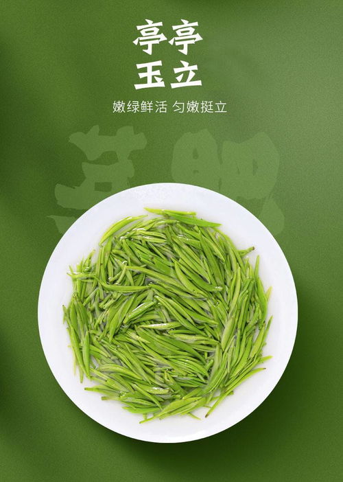 振源茶叶 信阳特产信阳毛尖100g 小芽含量70 以上