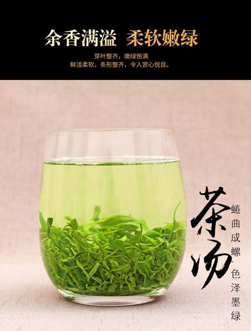 2020浓香型信阳绿茶500g新茶叶耐泡散装嫩芽毛尖