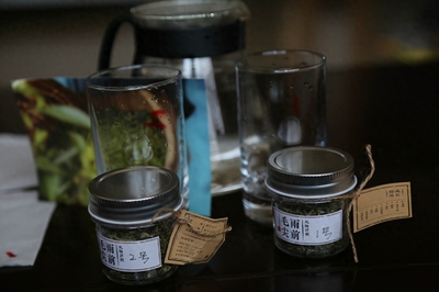 了解信阳毛尖和都匀毛尖的相似之处和差异性?