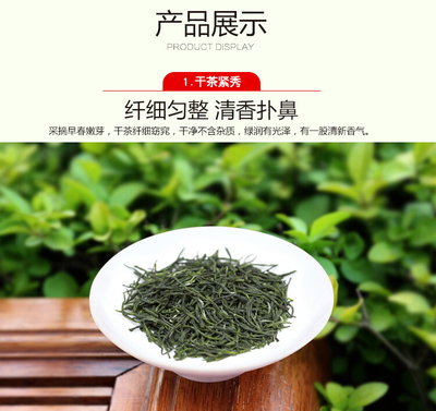 信阳毛尖 明前特级嫩芽绿茶
