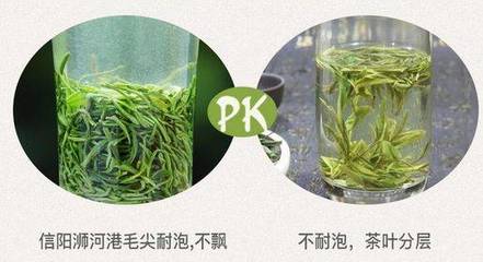 电商扶贫:带您寻找真正的信阳毛尖大山茶