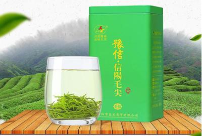 【河南特产】豫信 2016新茶芽叶雨前豫毛峰 信阳毛尖罐装炒青绿茶茶情250g