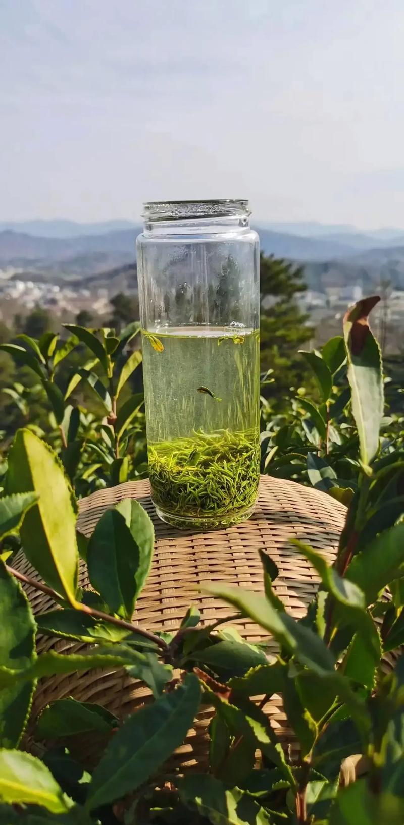 得闲饮茶,品质好就是最好的广告#信阳毛尖 #爱喝茶的关注我