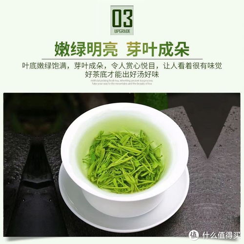 信阳毛尖茶,你喜欢喝吗