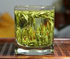 信阳毛尖的泡法步骤