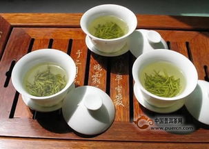 信阳毛尖的冲泡步骤