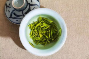 夏日养生佳品 信阳毛尖的清热降火与健康功效