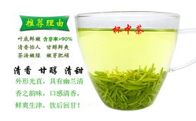 信阳毛尖 精品绿茶，产地直销，诚邀品鉴