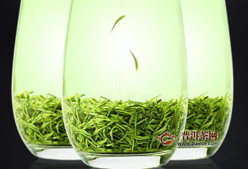 信阳毛尖茶中的三宝——探析其营养价值