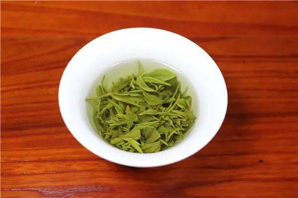 如何泡出好喝的信阳毛尖