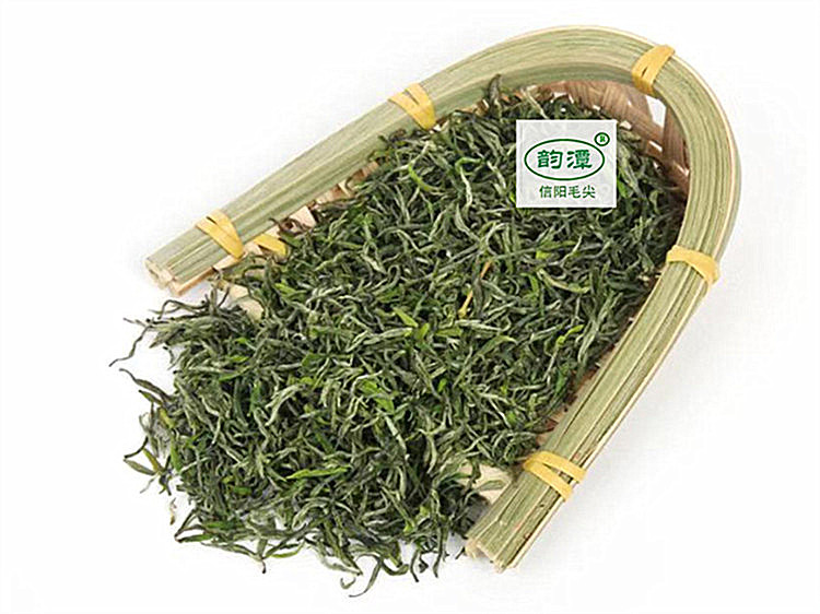 韵潭信阳毛尖 一品2023明前新茶的清雅至味