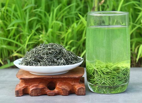 行家眼中怪象 河南茶桌上的信阳毛尖与无名宠儿