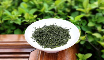 信阳毛尖 一杯春色，千年茶韵的品牌寻味