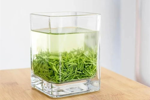 信阳毛尖 品牌甄选与品质鉴别全攻略