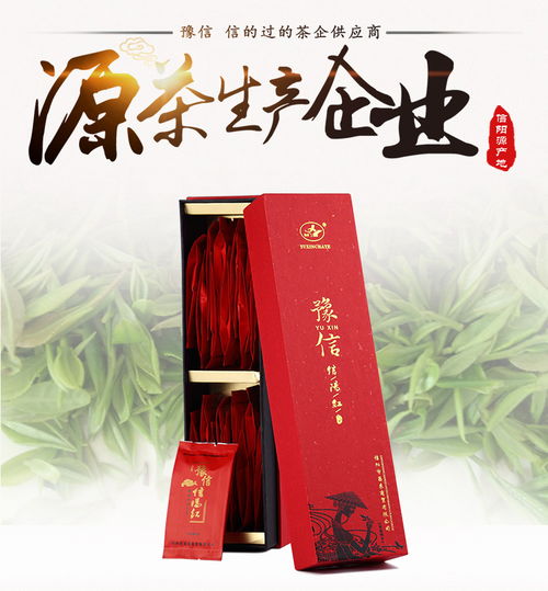 豫信红茶与信阳毛尖 品味信阳的双重茶韵