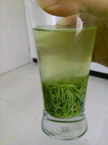 信阳毛尖品鉴指南 探寻手工茶的味美色香