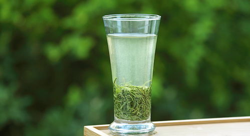 信阳毛尖 中国名优绿茶的代表