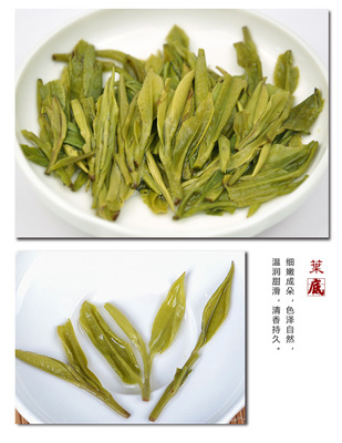 信阳毛尖 清香四溢的绿意之选