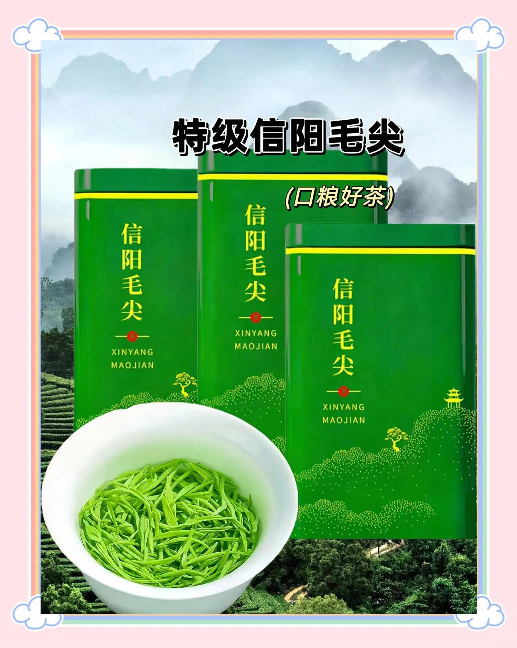 信阳毛尖 共赴一场高山与人手的平仄对话