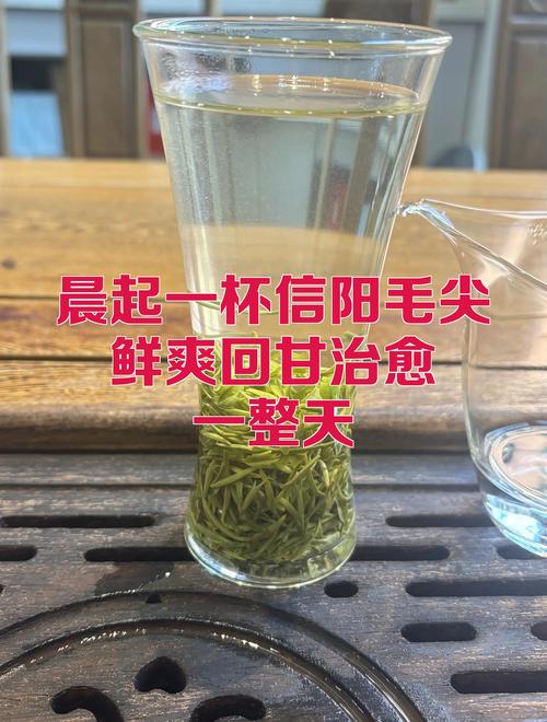 晨起一杯信阳毛尖，鲜爽回甘治愈一整天
